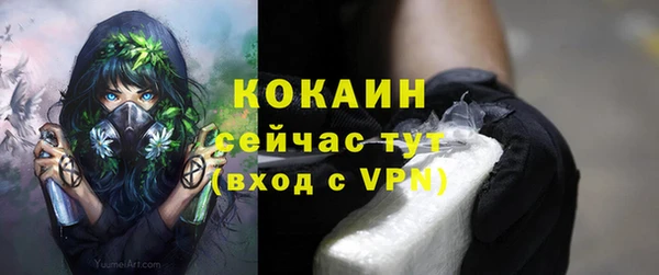 spice Алзамай