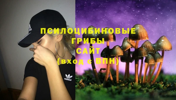 spice Алзамай