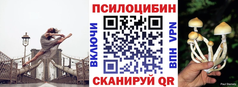 Галлюциногенные грибы Cubensis  kraken как войти  Бавлы  цены  